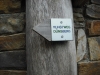 dansbergwanderung-2010_019