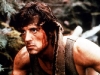 rambo460