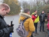 ganswanderung-30-11-2013-17_0