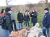 ganswanderung-30-11-2013-41